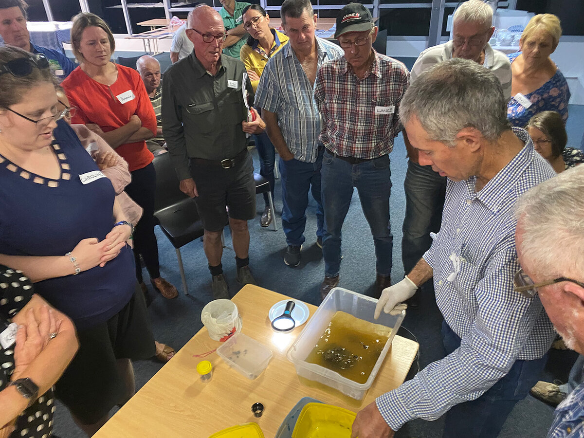 A man is hosting a presentation about dung beetles to a group of people.