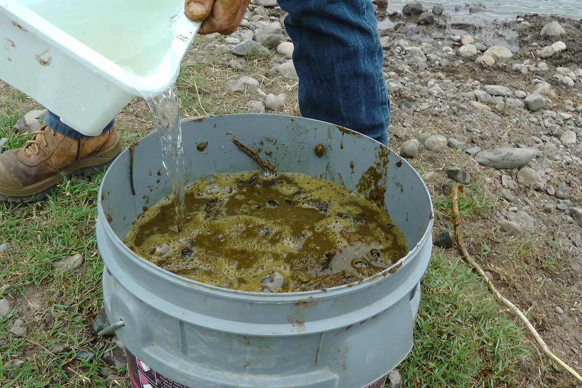 A person is pouring clean water into a bucket of dung