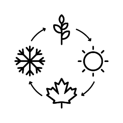 Plant, sun, Autumn leaf, and snowflake icons in a circle